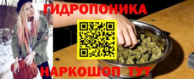 амф Можга