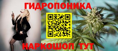 кокс Можайск