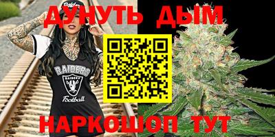 амф Можга